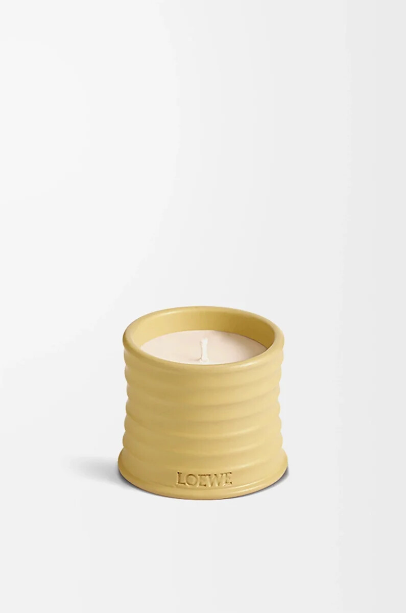 petite bougie chèvrefeuille jaune