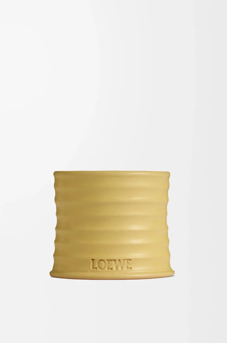 petite bougie chèvrefeuille jaune