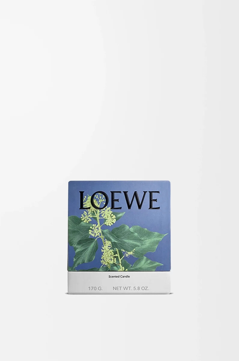 petite bougie ivy rose clair