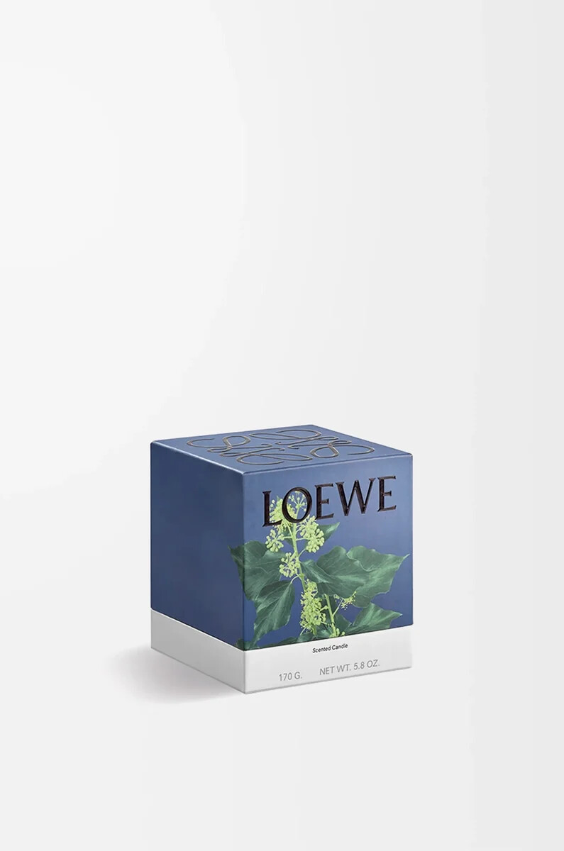 petite bougie ivy rose clair