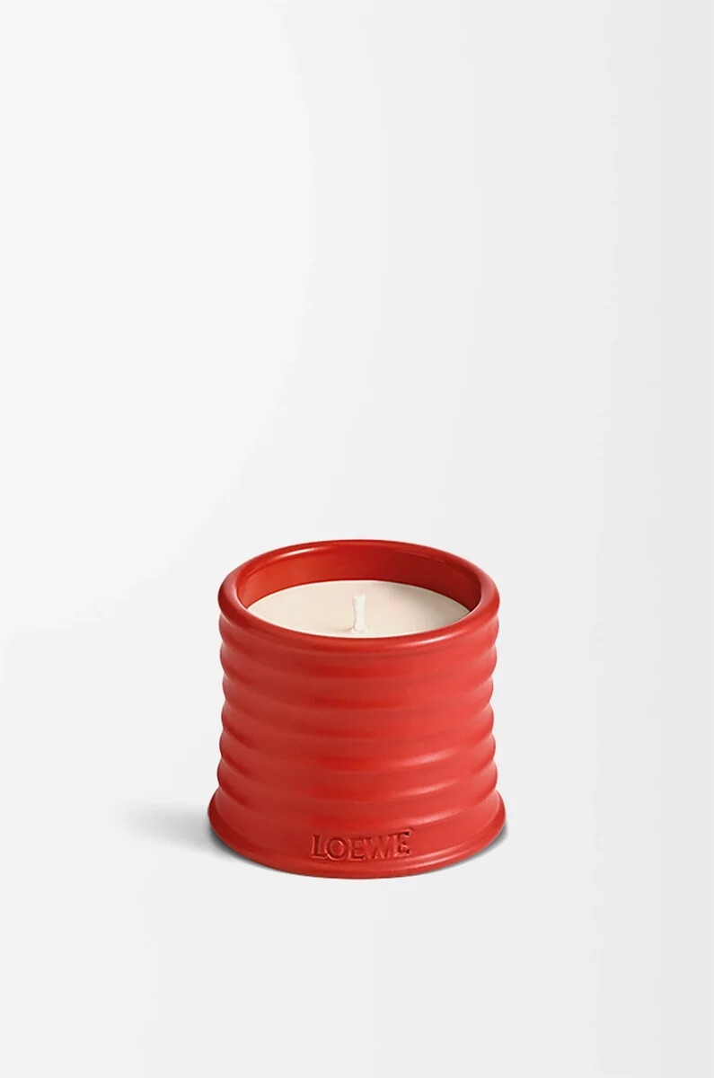 petites feuilles de tomate bougie rouge