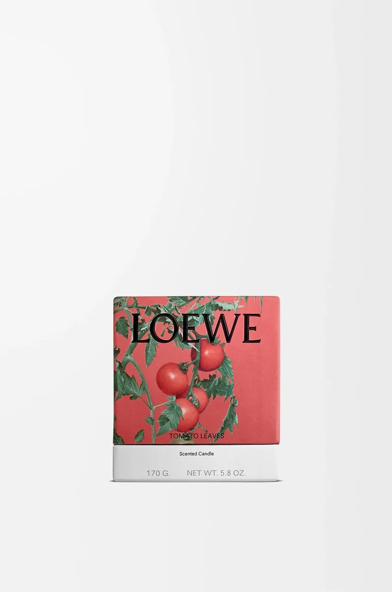 petites feuilles de tomate bougie rouge