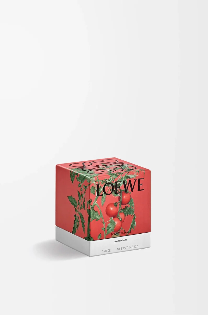 petites feuilles de tomate bougie rouge