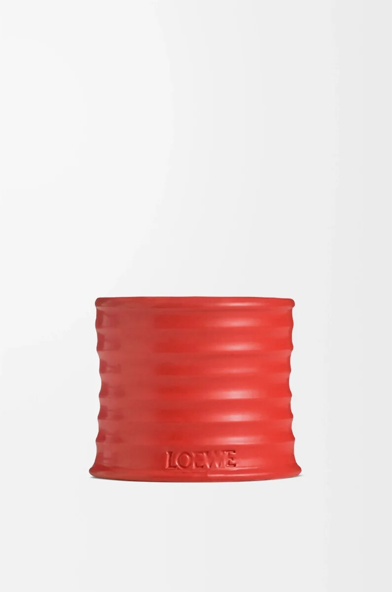 petites feuilles de tomate bougie rouge