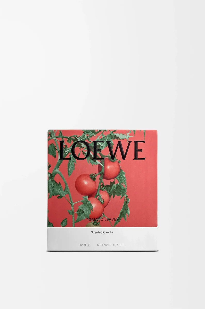 feuilles de tomate moyennes bougie rouge