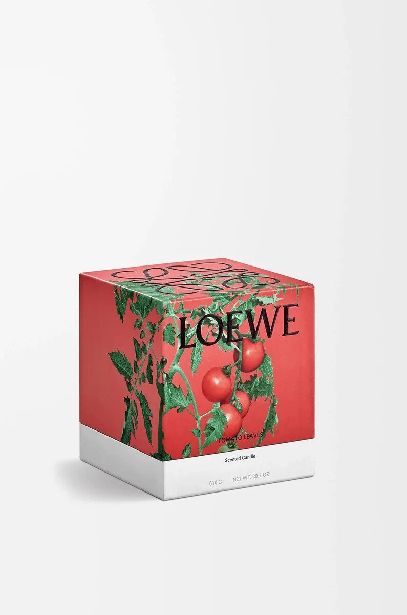 feuilles de tomate moyennes bougie rouge