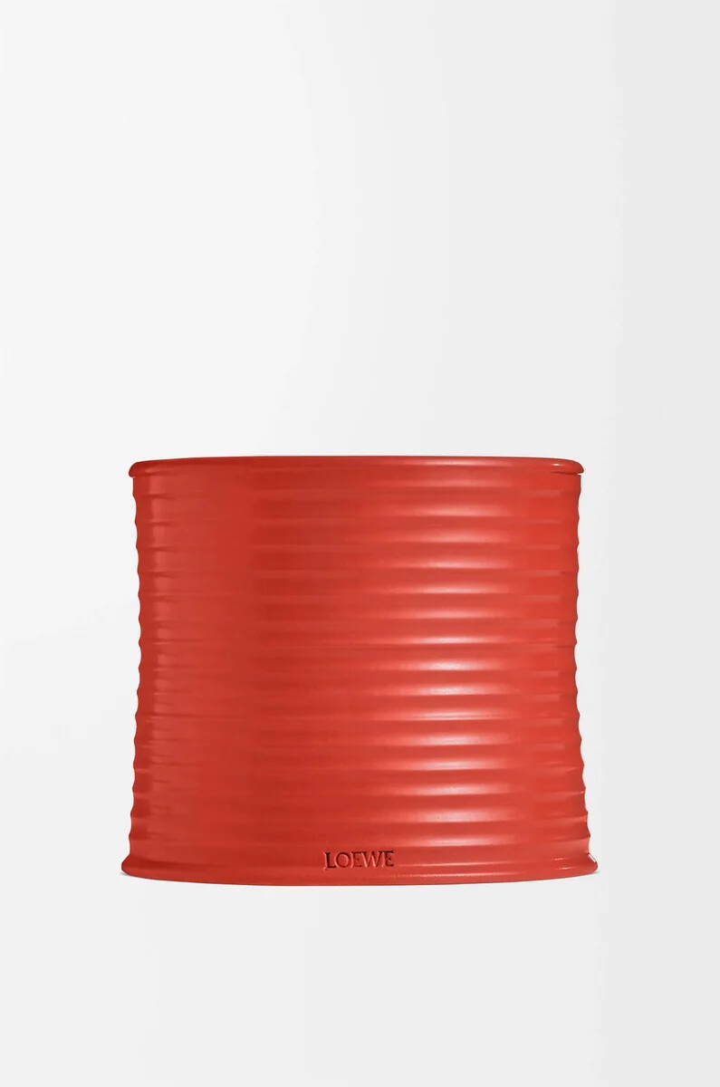 feuilles de tomate moyennes bougie rouge