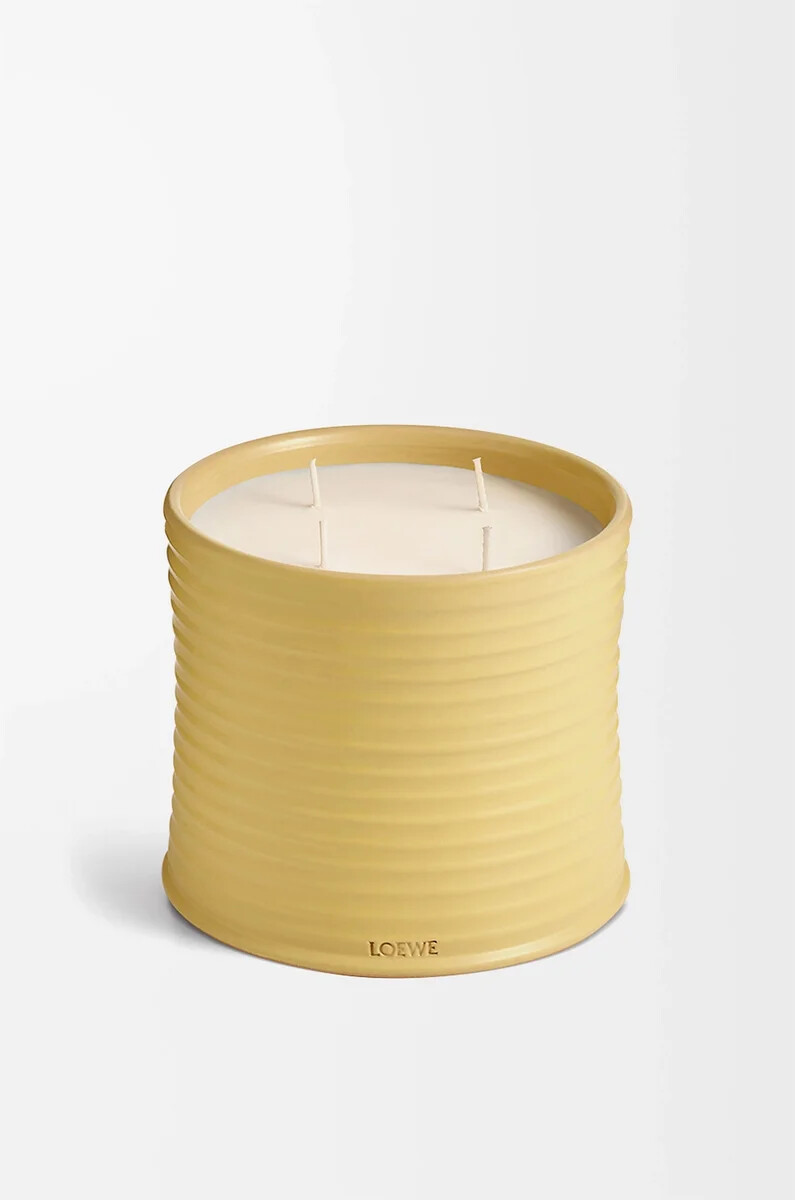 grande bougie chèvrefeuille jaune