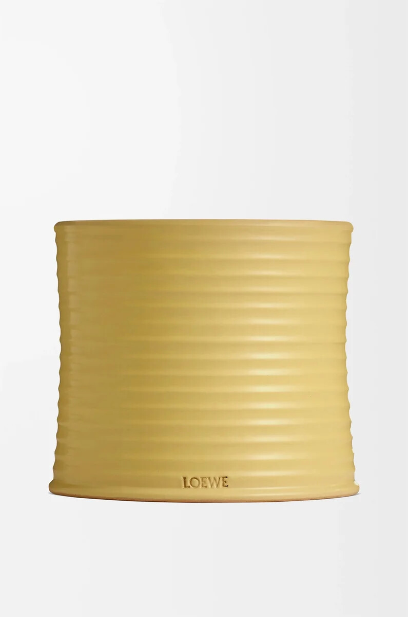 grande bougie chèvrefeuille jaune