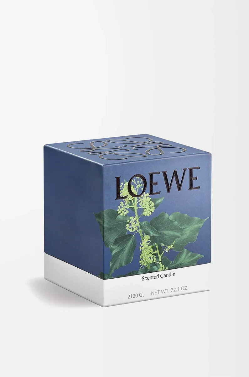 grande bougie ivy rose clair