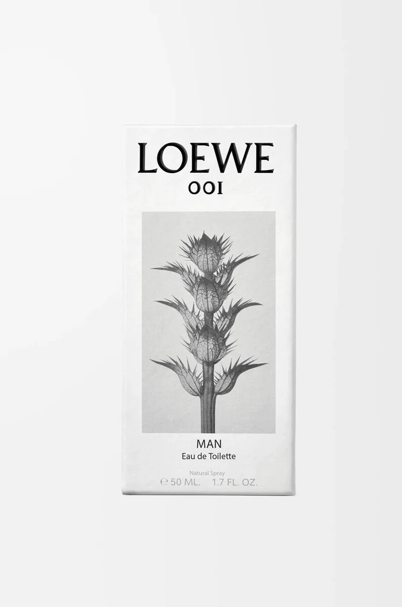 loewe 001 homme eau de toilette 50 ml incolore