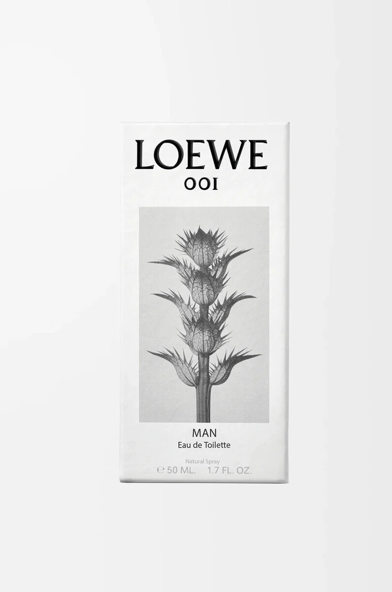 loewe 001 homme eau de toilette 50 ml incolore