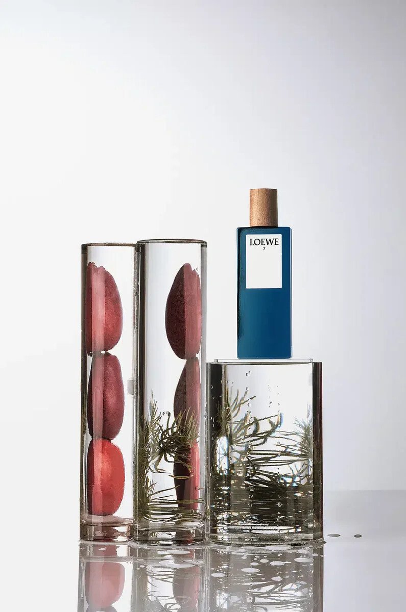 loewe 7 eau de toilette 50 ml incolore